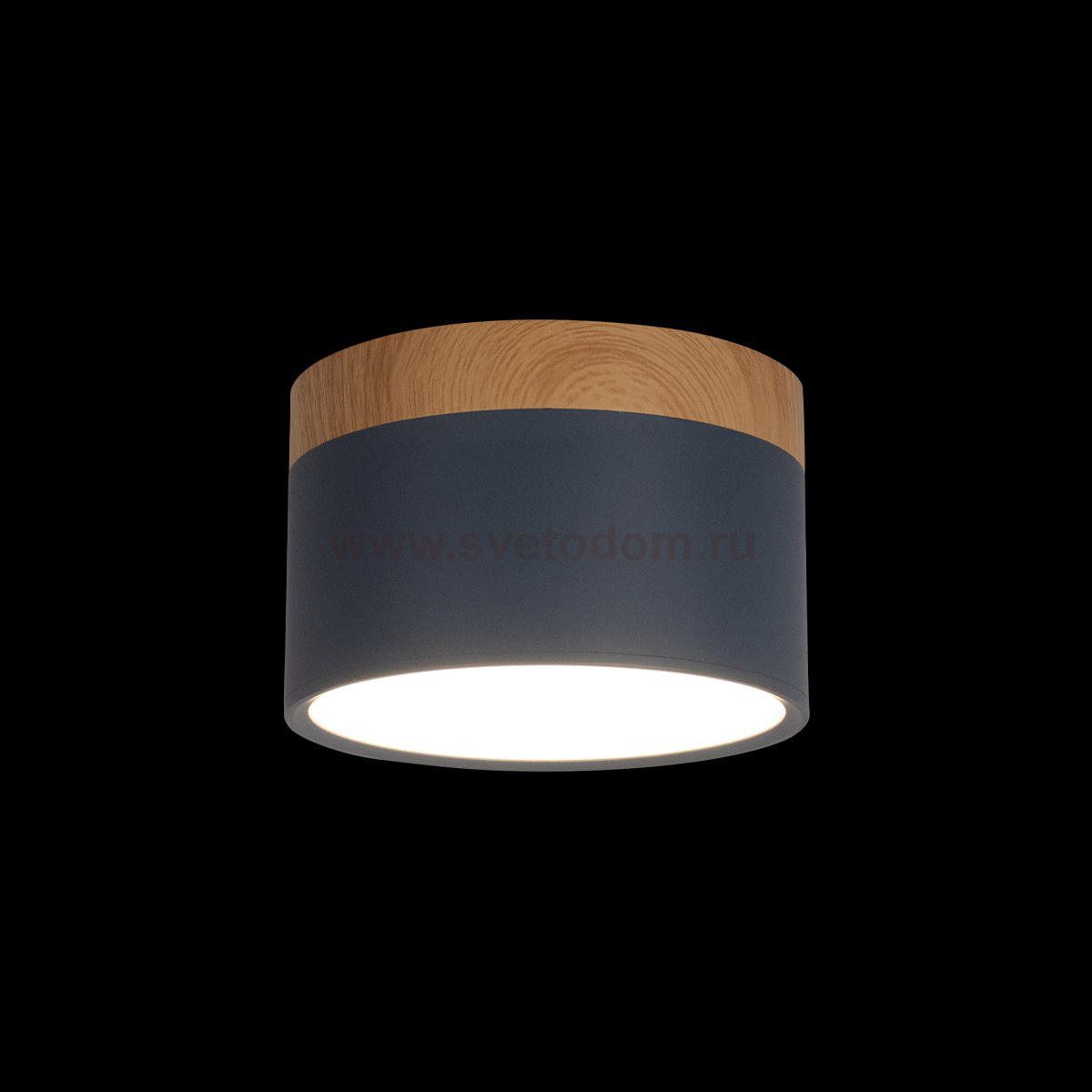 Накладные светильники Loft it 10162 Blue Grape