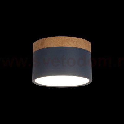 Накладные светильники Loft it 10162 Blue Grape