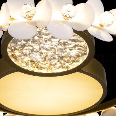 Потолочные светильники Loft it 10174 Bride