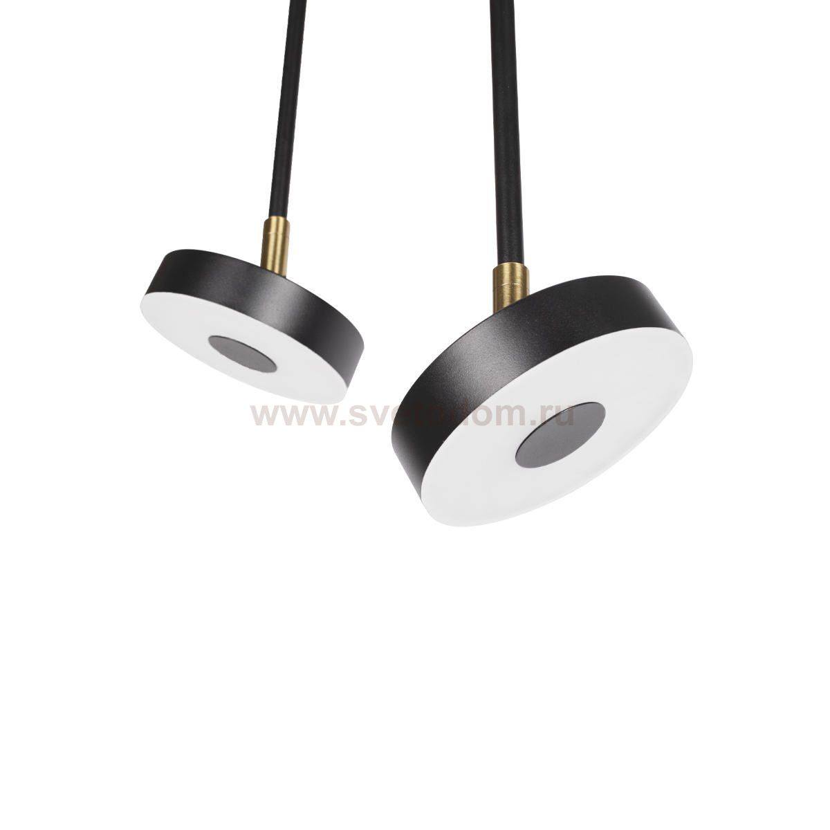 Потолочные светильники Loft it 10189/1000 Flock