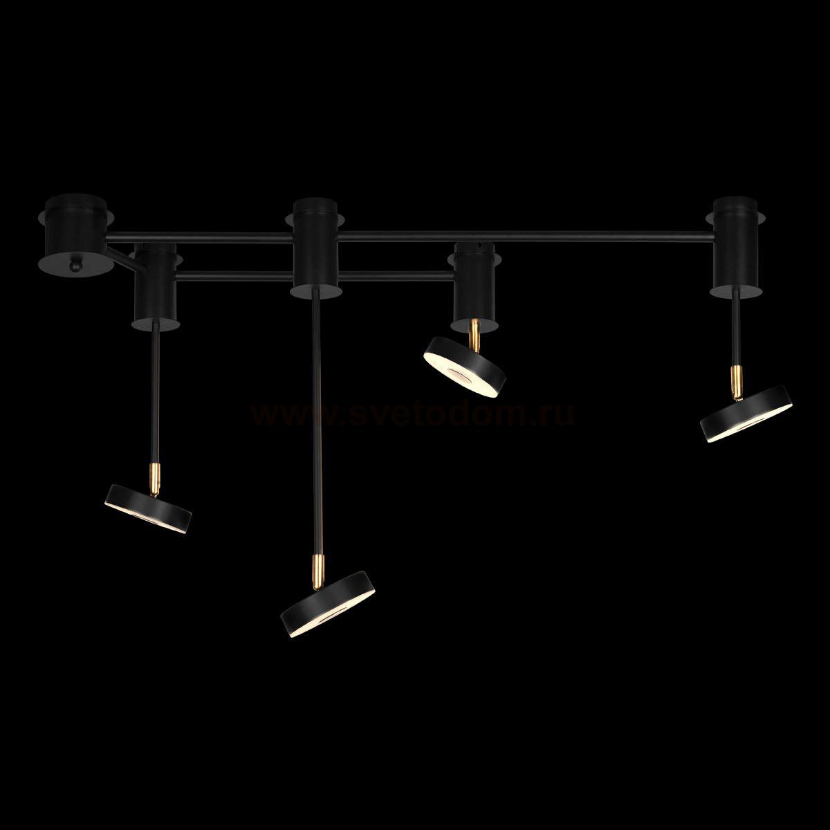 Потолочные светильники Loft it 10189/1000 Flock