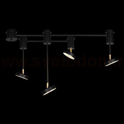 Потолочные светильники Loft it 10189/1000 Flock