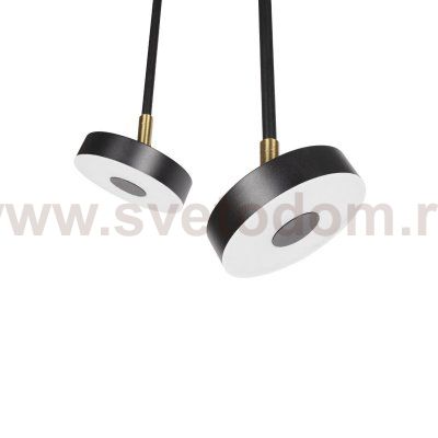 Потолочные светильники Loft it 10189/1200 Flock