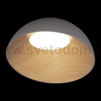 Потолочные светильники Loft it 10197/500 Grey Egg