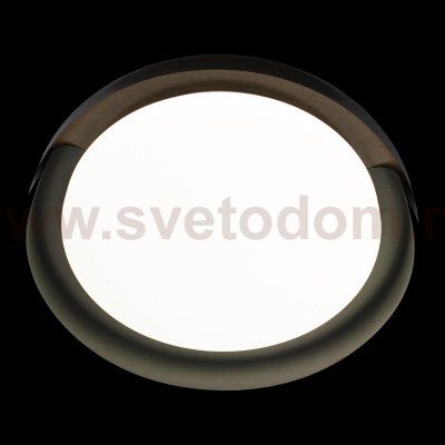 Потолочный светильник Loft it 10198 Black Coin