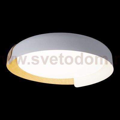Потолочный светильник Loft it 10198 White Coin