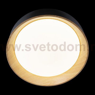 Потолочный светильник Loft it 10202 Black Coin