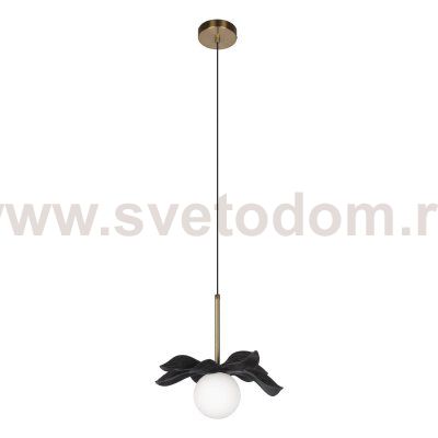 Подвесные светильники Loft it 10213/A Black Monro
