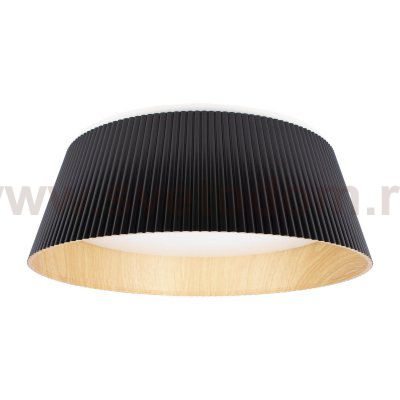 Потолочные светильники Loft it 10224 Black Evans
