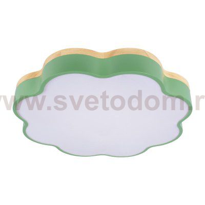 Потолочные светильники Loft it 10225/36 Green Axel