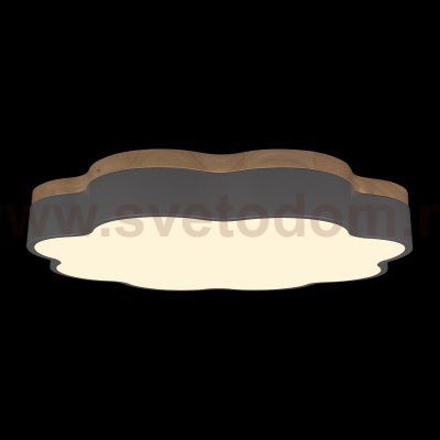 Потолочные светильники Loft it 10225/36 Grey Axel