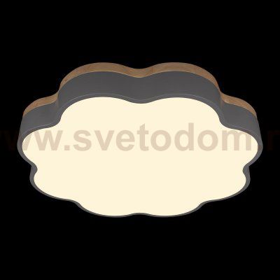 Потолочные светильники Loft it 10225/36 Grey Axel