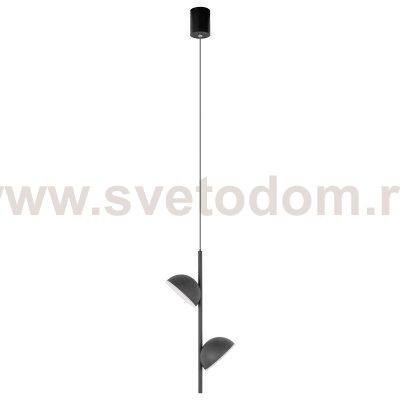 10335 Black Подвесной светильник LOFT IT Mons