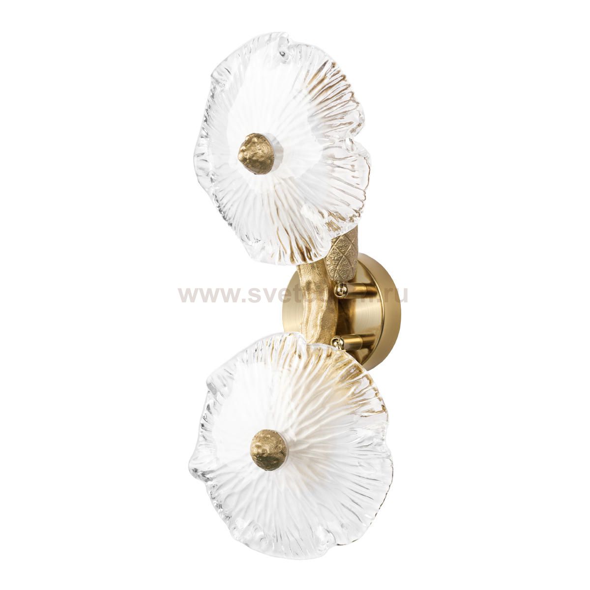 10352/2W AB Бра LOFT IT Bloom