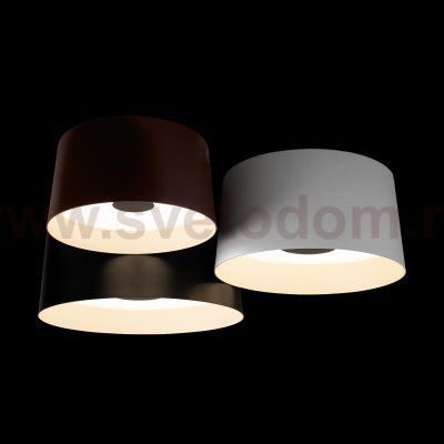 10360/3 Потолочный светильник LOFT IT Duo