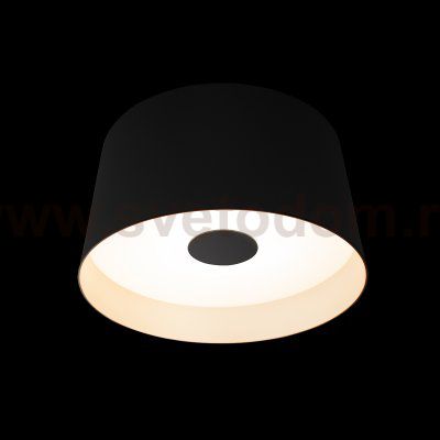 10360S Black Потолочный светильник LOFT IT Duo