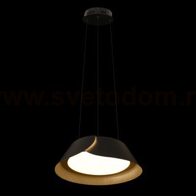 10370P Black Подвесной светильник LOFT IT Lane