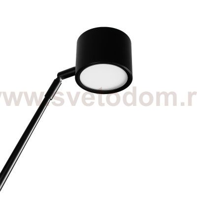 10374/2000 Торшер LOFT IT Sampei