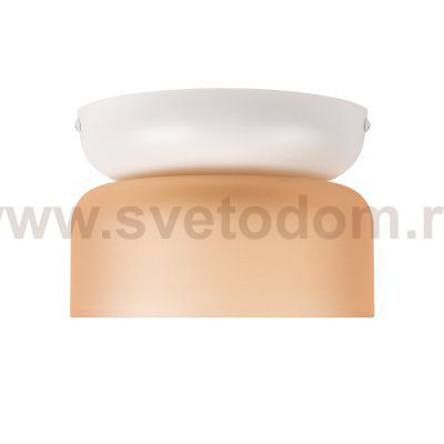 10466 Amber matte Потолочный светильник LOFT IT Totem