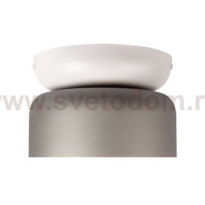 10466 Smoke matte Потолочный светильник LOFT IT Totem