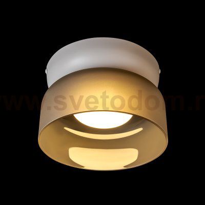 10466 Smoke matte Потолочный светильник LOFT IT Totem