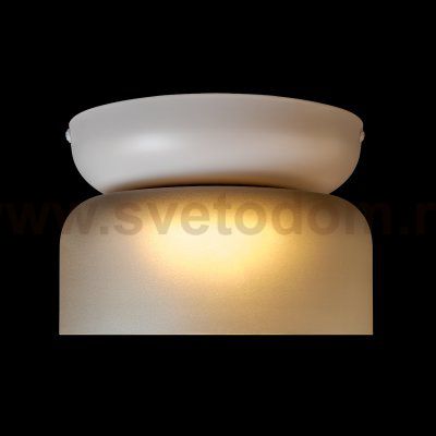 10466 Smoke matte Потолочный светильник LOFT IT Totem