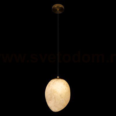 10531A Подвесной светильник LOFT IT Fionora