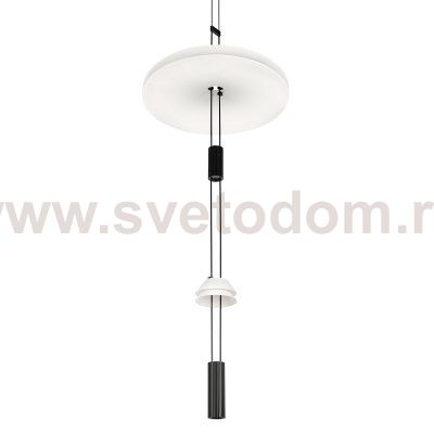 10598C Подвесной светильник LOFT IT Flamingo