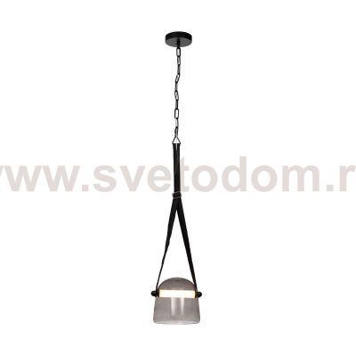 Повесной светильник Loft it 1608P-BL 