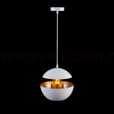 Подвесной светильник Loft it LOFT2213-A Apple