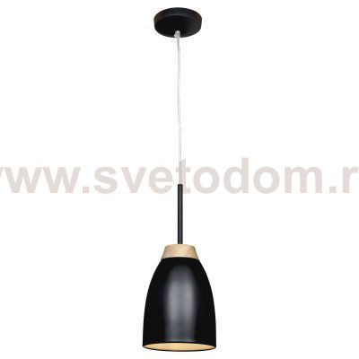 Подвесной светильник Loft it LOFT4402A-BL Watchman