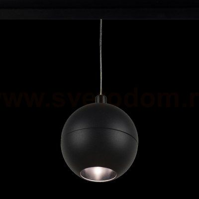 Трековый светильник Loft it T024-12P Tech