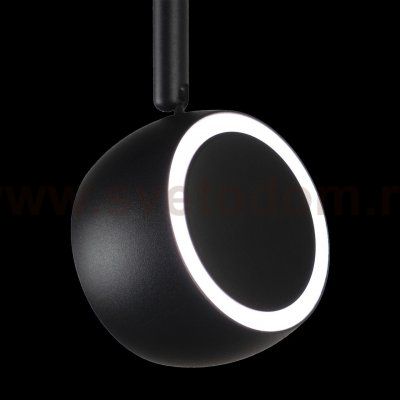 Трековый светильник Loft it T034-10 Tech