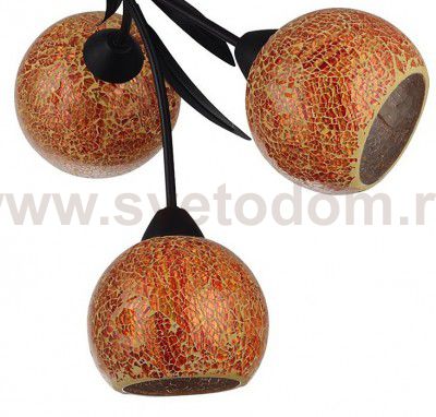 Люстра Lussole LSF-6213-06 BAGHERIA