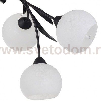 Люстра Lussole LSF-6283-06 BAGHERIA