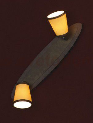 Светильник поворотный спот Lussole LSL-2301-02 FOSSOMBRONE