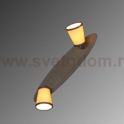 Светильник поворотный спот Lussole LSL-2301-02 FOSSOMBRONE