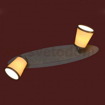 Светильник поворотный спот Lussole LSL-2301-02 FOSSOMBRONE