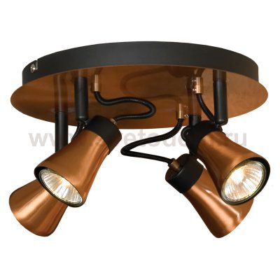 Светильник поворотный спот Lussole LSL-6801-04 FORLI