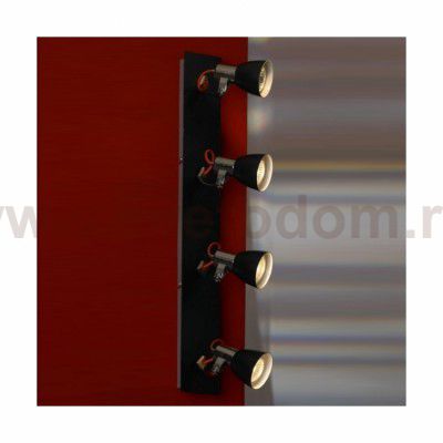 Светильник поворотный спот Lussole LSL-7409-04 FRONTINO