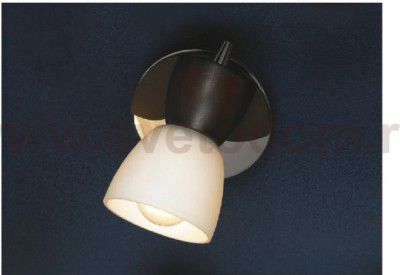 Светильник поворотный спот Lussole LSL-8201-01 MESSINA