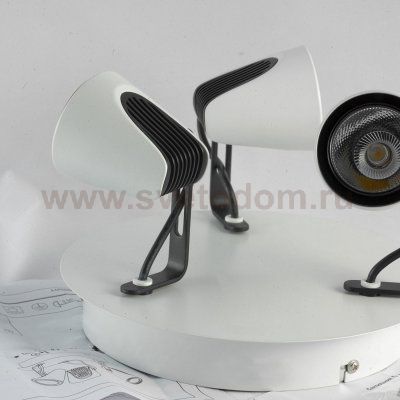 Светильник потолочный Lussole Loft LSN-4101-03