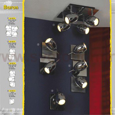 Светильник поворотный спот Lussole LSN-4301-03 Baron