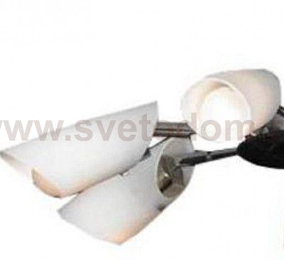 Люстра Lussole LSN-4903-07 SAVA
