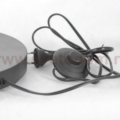 Торшеры Lussole LSP-0590 Tallapoosa