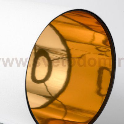 Торшер Lussole LSP-0719 ESCAMBIA