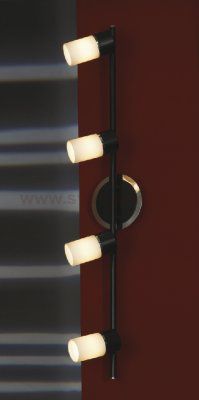 Светильник поворотный спот Lussole LSQ-6109-04 SILIQUA