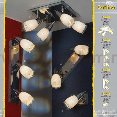 Светильник поворотный спот Lussole LSX-4801-03 CARLINO