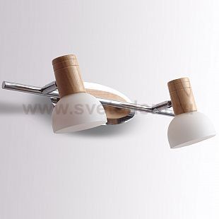 Светильник настенный бра Lucia Tucci Natura W078.2