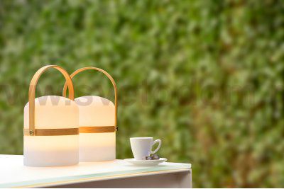 Настольная лампа Lucide 06800/03/31 JOE